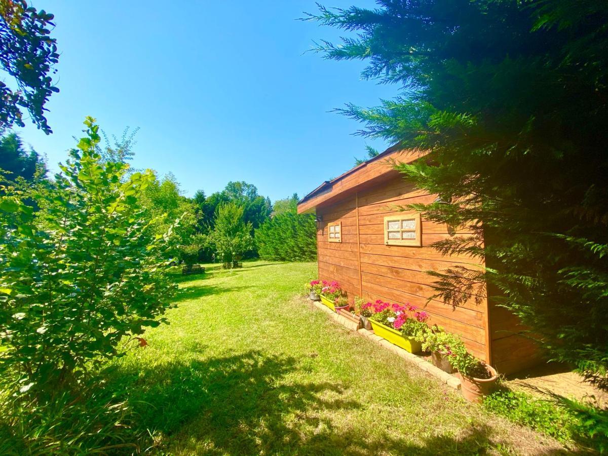 O Clair De Lune Au Coeur De Sarlat - Chambres Climatisees - Parking Prive - Piscine Chauffee - Spa Et Massages المظهر الخارجي الصورة