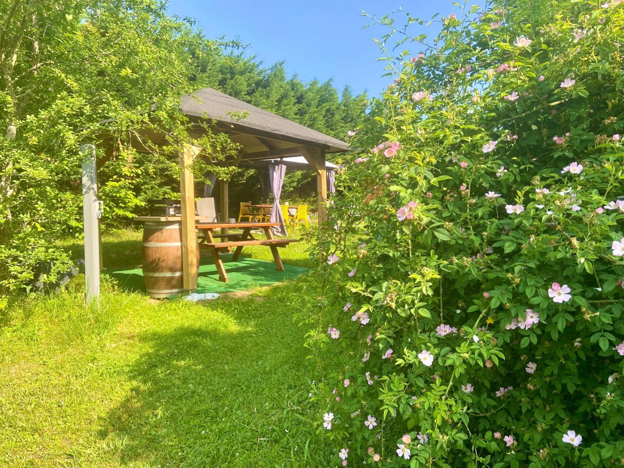 O Clair De Lune Au Coeur De Sarlat - Chambres Climatisees - Parking Prive - Piscine Chauffee - Spa Et Massages المظهر الخارجي الصورة